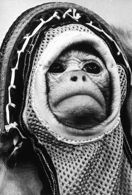 a monkey the men sent to
				      space